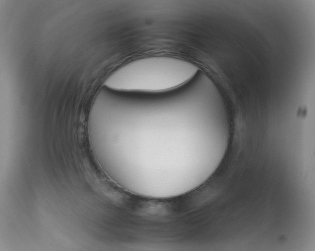 X0000112770073200908201400