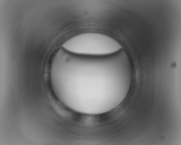 X0000112770074200908201400