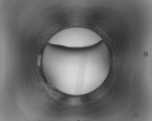 X0000112770075200908201400