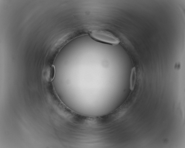 X0000112770076200908201400