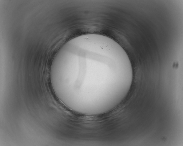 X0000112770077200908201400