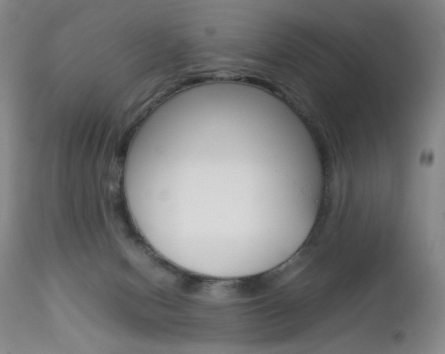 X0000112770078200908201400