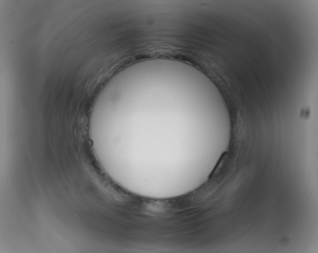 X0000112770079200908201400