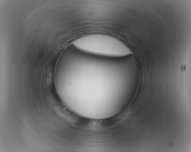 X0000112770080200908201400