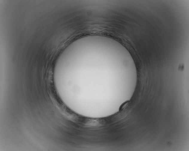 X0000112770083200908201400