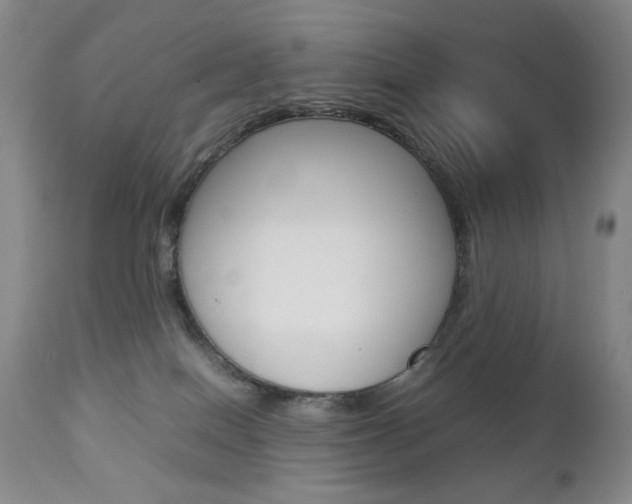X0000112770086200908201400