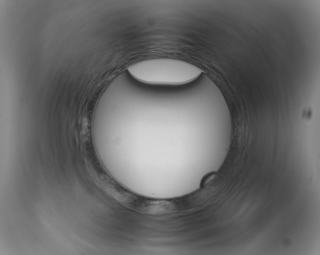 X0000112770087200908201400