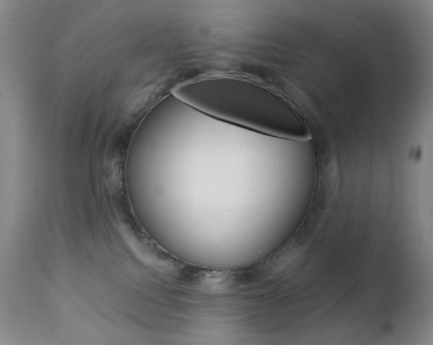 X0000112770088200908201400