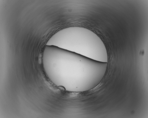 X0000112770090200908201400