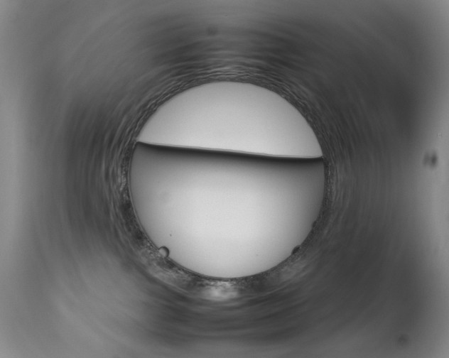 X0000112770091200908201400