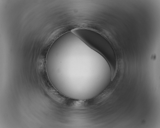 X0000112770092200908201400