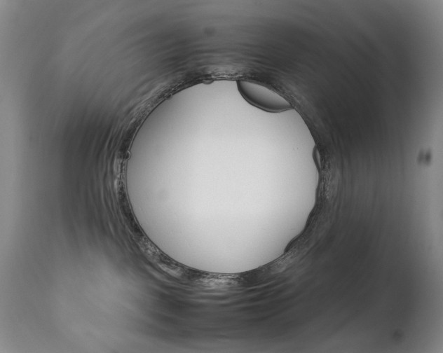 X0000112770093200908201400