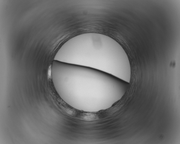 X0000112770095200908201400