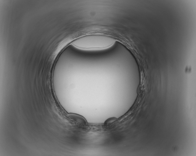 X0000112770099200908201359
