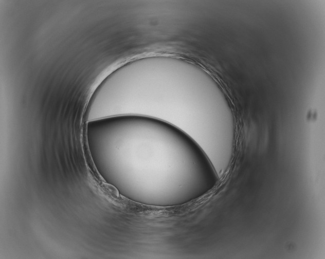 X0000112770100200908201359