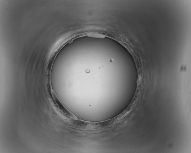 X0000112770101200908201359