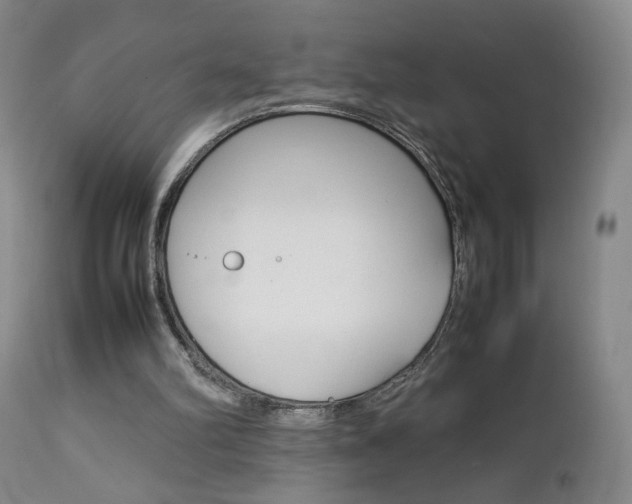 X0000112770102200908201359