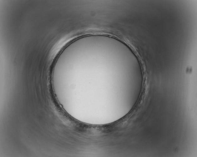 X0000112770103200908201359