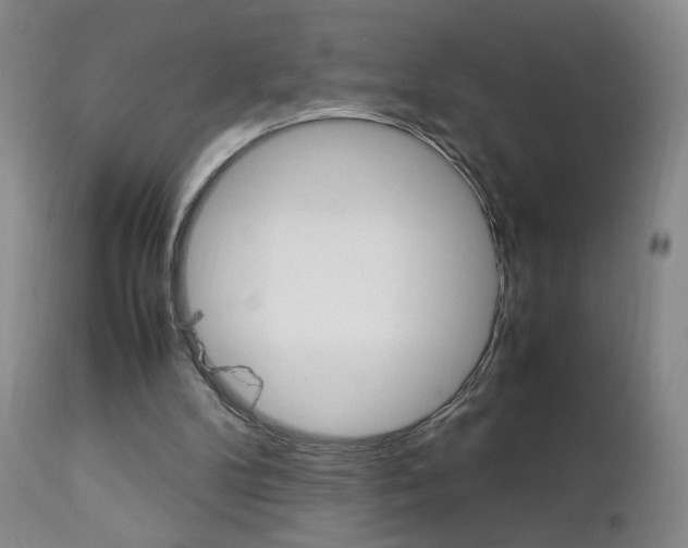 X0000112770104200908201359