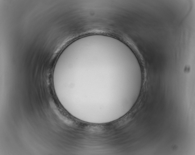 X0000112770106200908201359