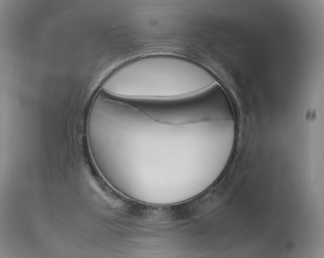 X0000112770107200908201359