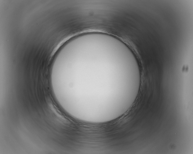 X0000112770108200908201359