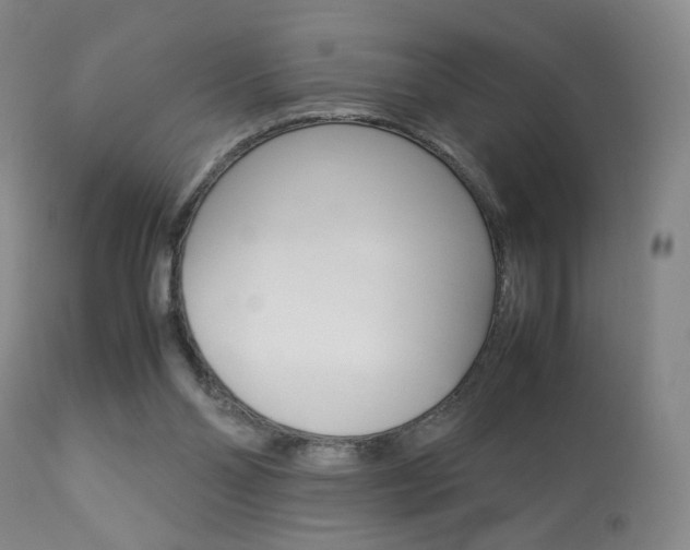 X0000112770110200908201359