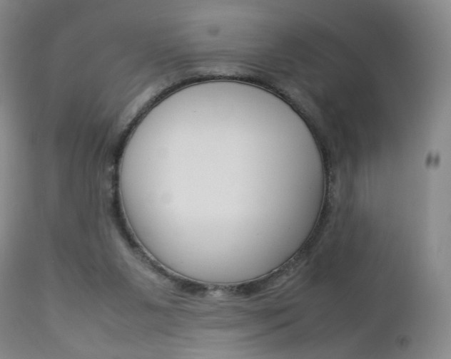 X0000112770111200908201359