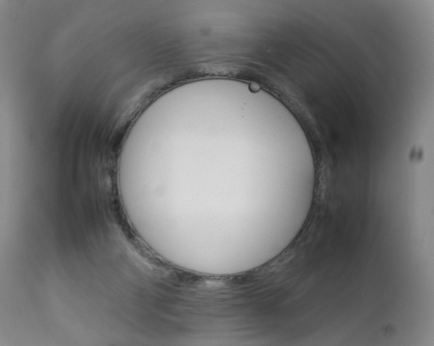 X0000112770114200908201359