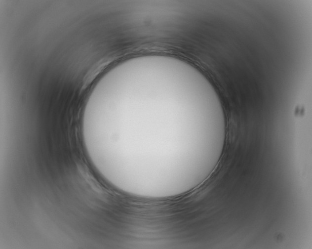 X0000112770116200908201359