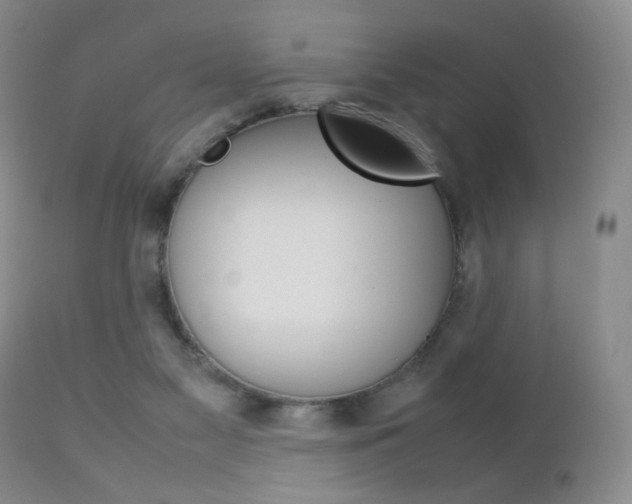 X0000112770117200908201359