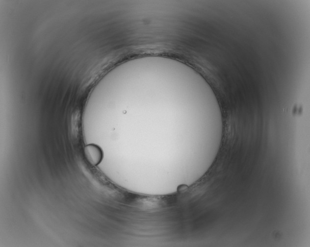 X0000112770118200908201359
