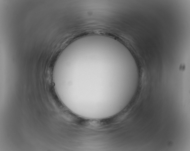 X0000112770121200908201359