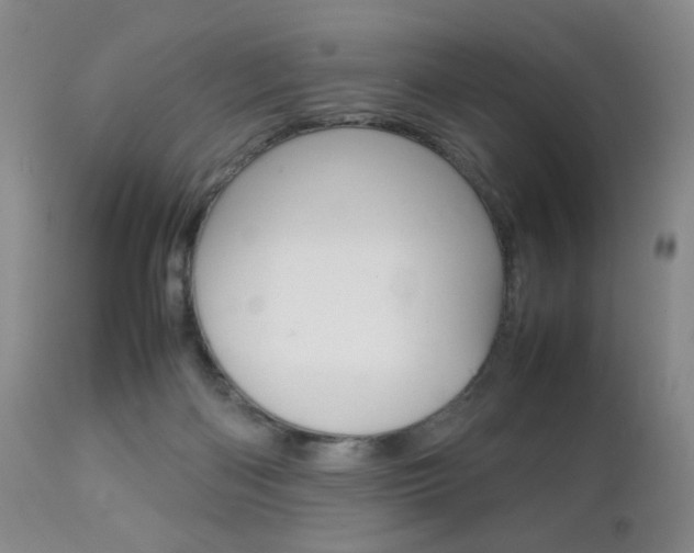X0000112770122200908201359