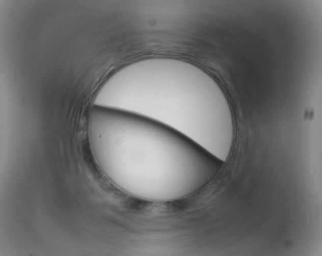 X0000112770123200908201359