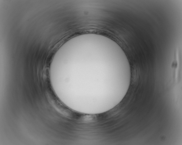 X0000112770126200908201359