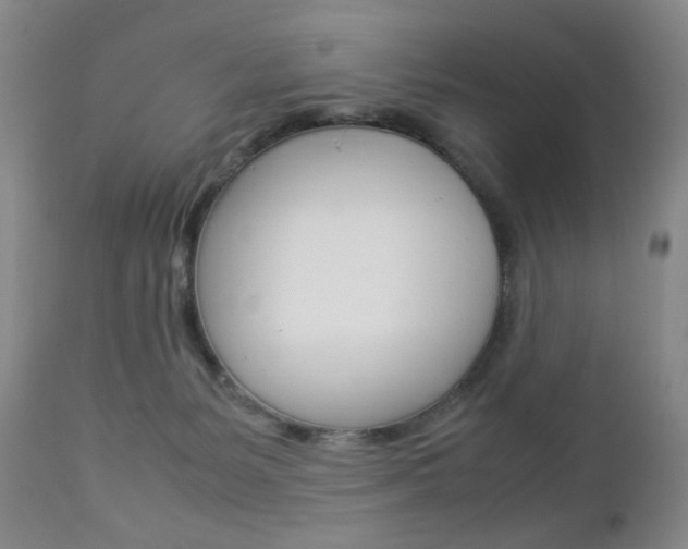 X0000112770127200908201359