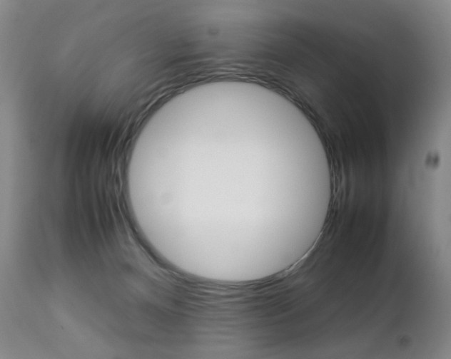 X0000112770128200908201359