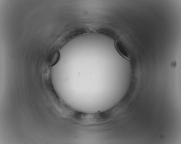 X0000112770129200908201359