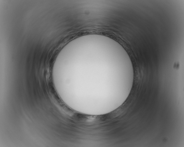 X0000112770130200908201359