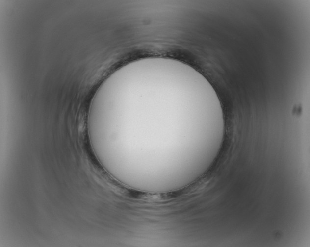 X0000112770131200908201359