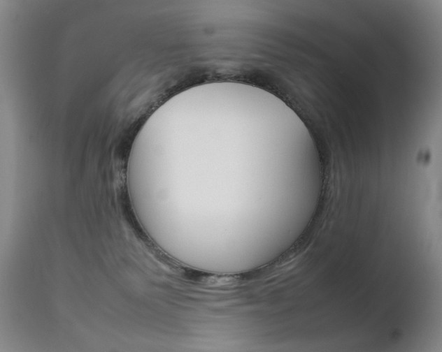 X0000112770135200908201359