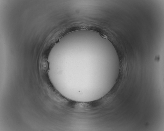 X0000112770137200908201359