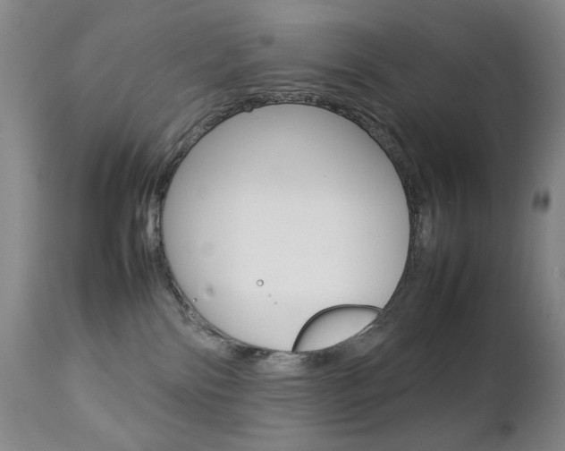 X0000112770138200908201359