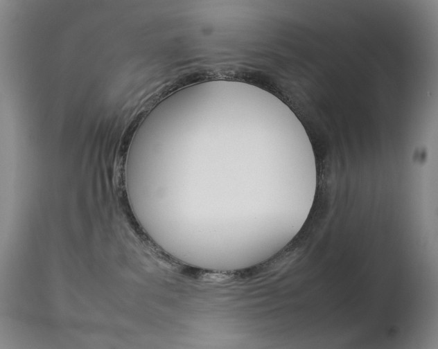 X0000112770139200908201359