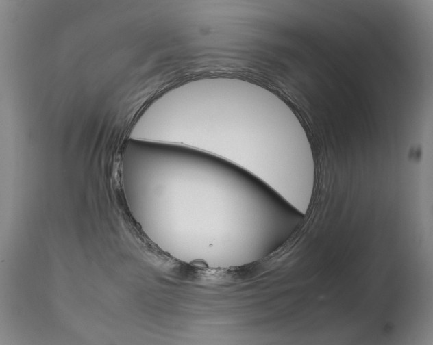 X0000112770141200908201359