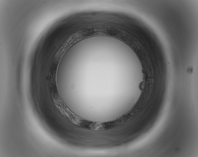 X0000112770143200908201359