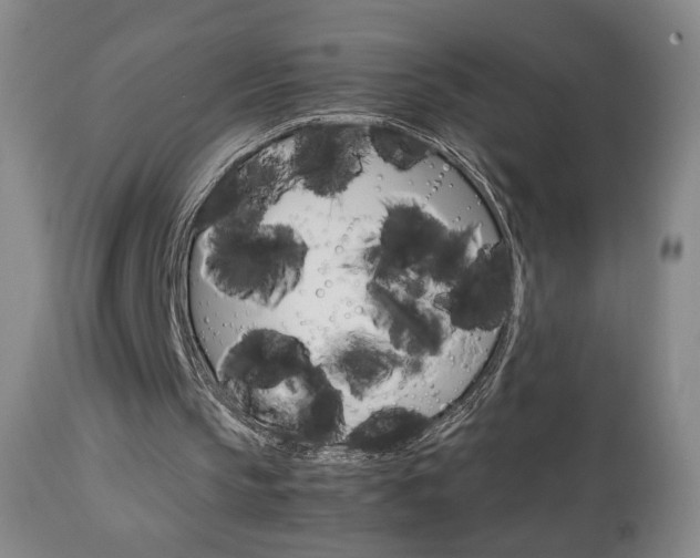 X0000112770145200908201358