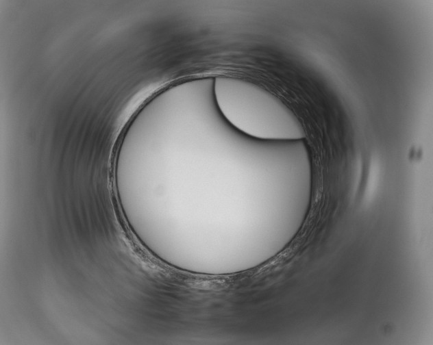 X0000112770147200908201358