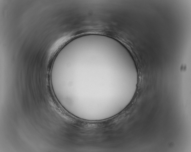 X0000112770149200908201358